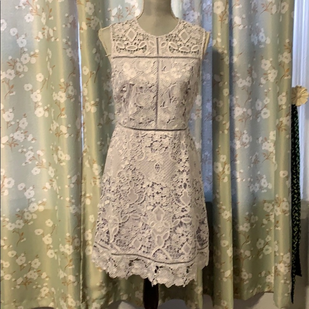 Ted Baker embroidered lace  dress sz 2 NWT